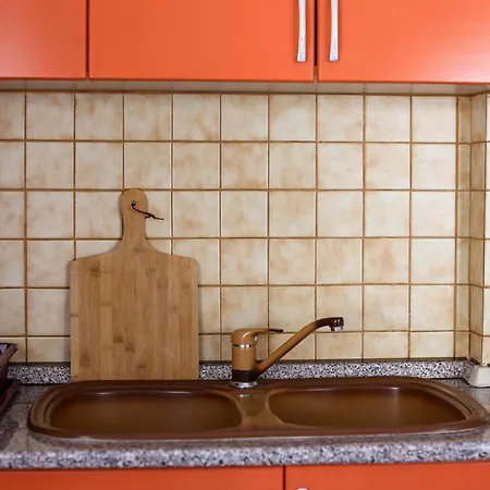 Joe Coastal Escape * גולם